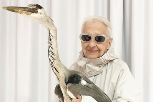 Ernestine "Ernie" Stollberg might be aged 95 but she is taking the world of fashion by storm.